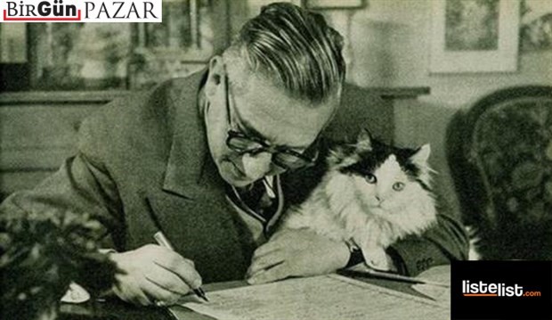 Yüzyılın mühim yazarlarına ilham olmuş 12 kedi