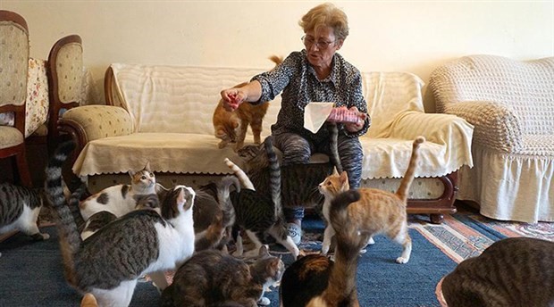 80 kedisiyle kiralık ev arıyor
