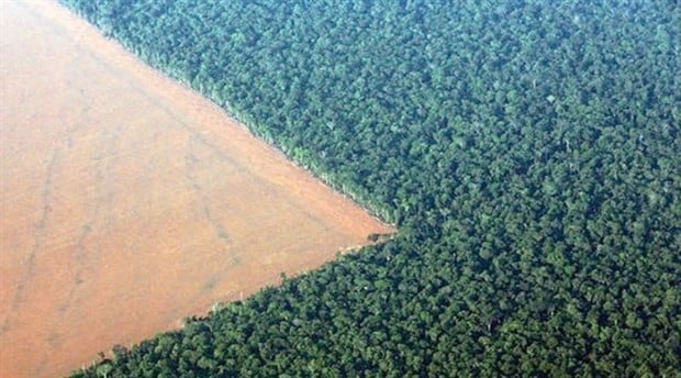 Burger King, et üretimi için Amazon ormanlarını yok ediyor!