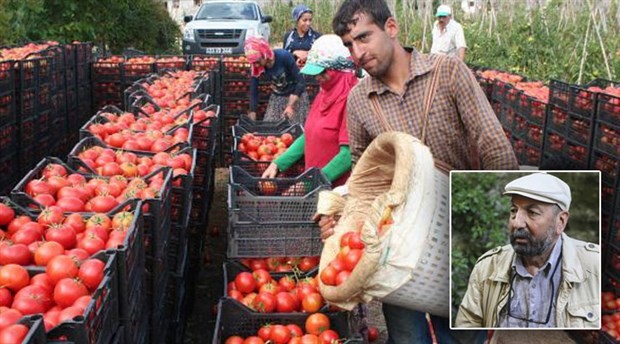 Çiftçi Sen Başkanı Abdullah Aysu: 10 liralık domatesin 9 lirası aracının cebinde