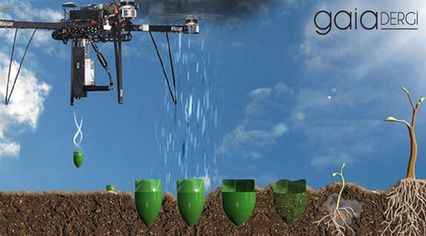 Dronelar ormanlarımızı yeniden ağaçlandıracak
