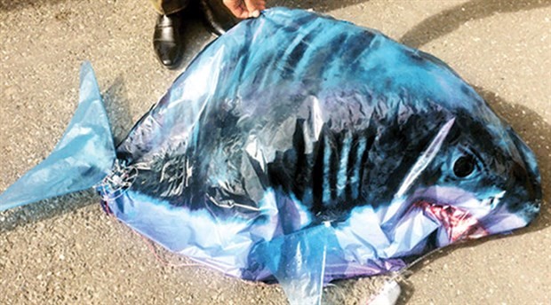 Ermenistan, Türkiye sınırında kameralı köpekbalığı balonu buldu