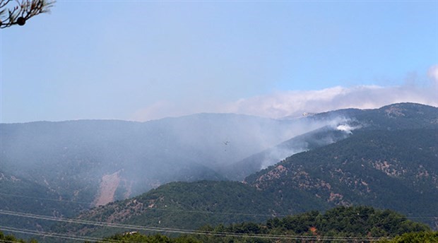Hatay'ın Antakya ilçesindeki orman yangını kontrol altına alındı
