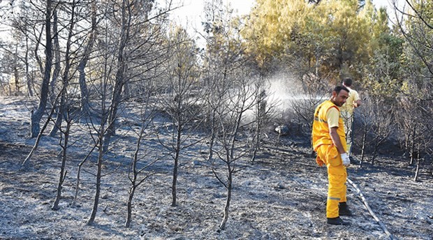 ‘Faili meçhul’ yangınlar 20 hektar alanı kül etti