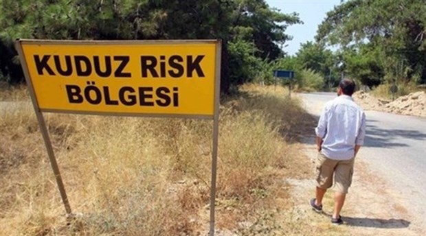 Antalya'nın 7 mahallesinde 'kuduz' karantinası