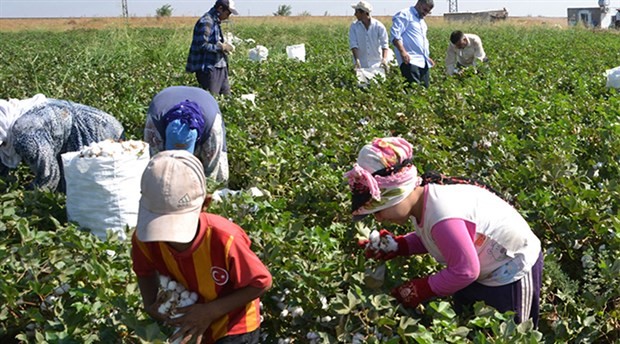 Tarımda çocuk işçiliği artıyor