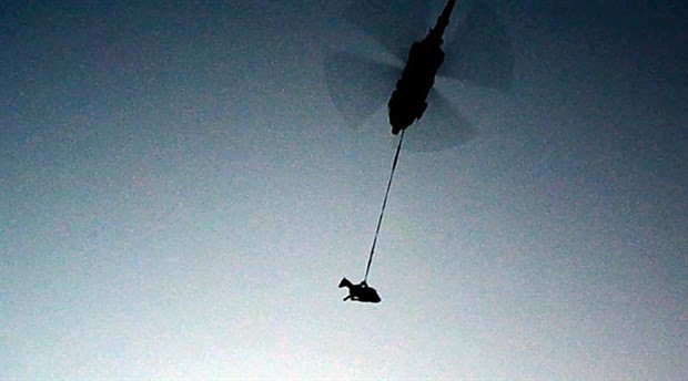 Gebe inek helikopter ile kurtarıldı
