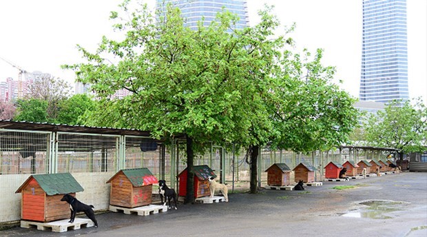 Kadıköy Belediyesi, 'Sahipsiz Hayvanlar Rehabilitasyon ve Eğitim Merkezi'nin temelini atıyor