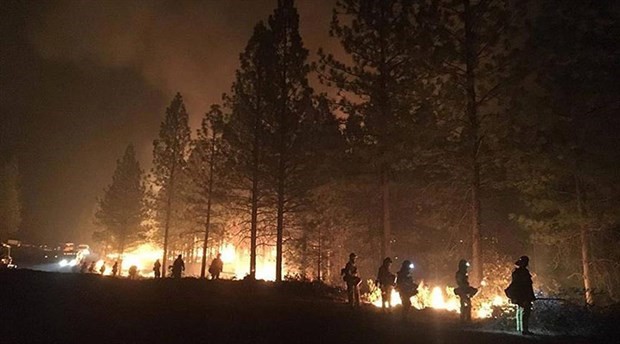 Kaliforniya'da yangın felaketi: Ölü sayısı 79'a yükseldi