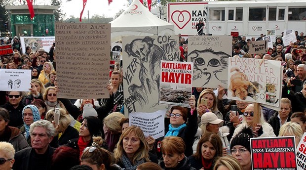 Hayvanlar için Kadıköy'de buluştular: Ölüm Yasası istemiyoruz