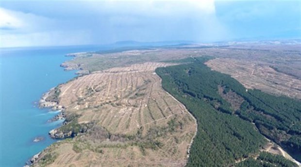 Japonya, 650 bin ağacın kesildiği Sinop nükleer santralinden vazgeçiyor