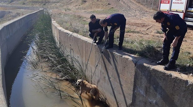Adıyaman'da kanala düşen köpek kurtarıldı