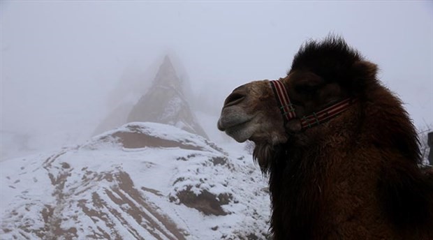 Kapadokya'da sis ve kar güzelliği