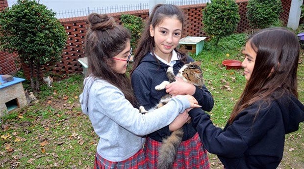 Avcılar'da öğrencilerden okul bahçesine 7 kedi evi