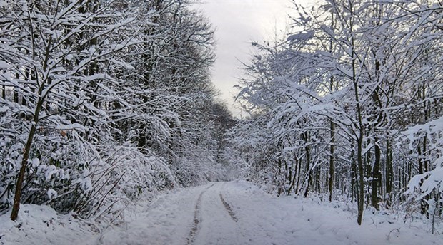 Meteoroloji'den Trakya için kuvvetli kar uyarısı