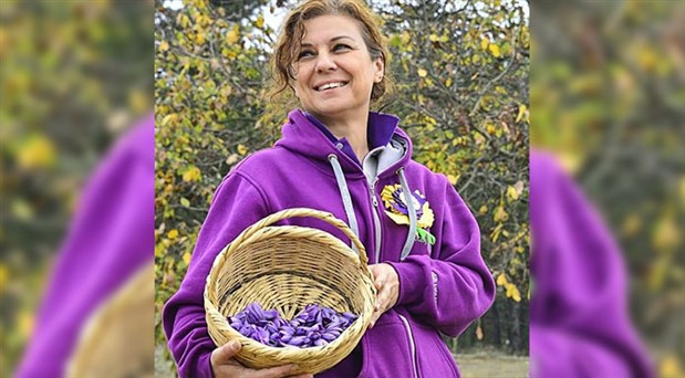 Safranbolu’nun ilk kadın Belediye Başkanı Elif Köse: Mor safran çiçeğinin zaferi