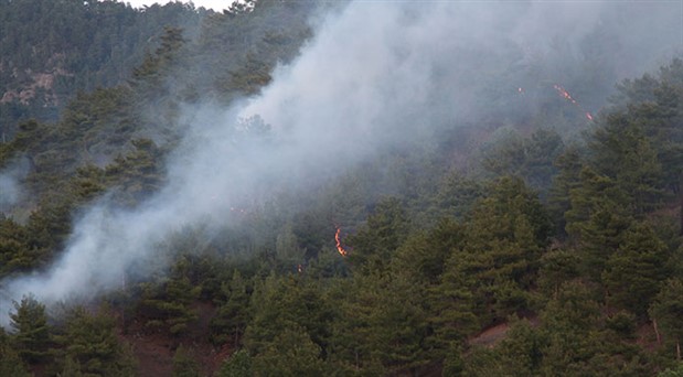 Tokat’ta orman yangınında 30 dekarlık alan zarar gördü
