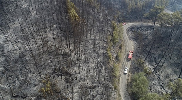 Tarım ve Orman Bakanı’ndan ‘yangın’ açıklaması