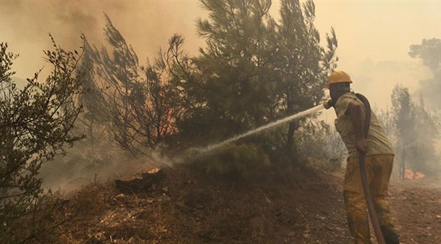 Bodrum'da orman yangını