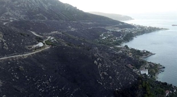 Marmara Adası'ndaki yangınla ilgili 2 kişi gözaltına alındı