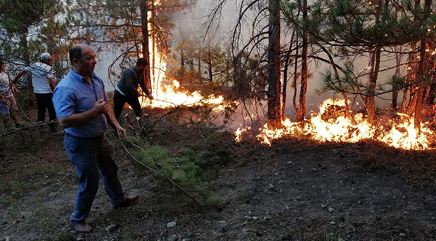 Eskişehir'deki orman yangını kontrol altında