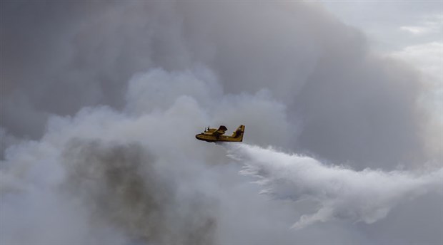 Yunanistan'ın Eğriboz Adası'nda orman yangını devam ediyor