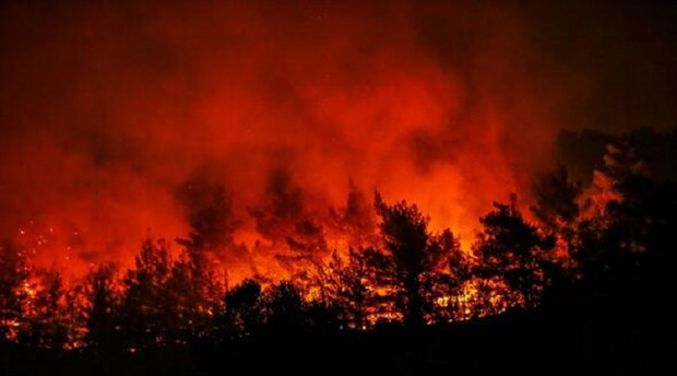 İzmir'de orman yangını sürüyor: İki mahalleye yaklaştı