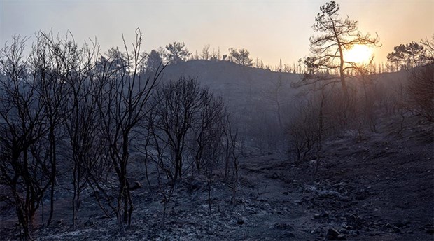 CHP İzmir milletvekillerinden orman yangınlarıyla ilgili meclis araştırması talebi