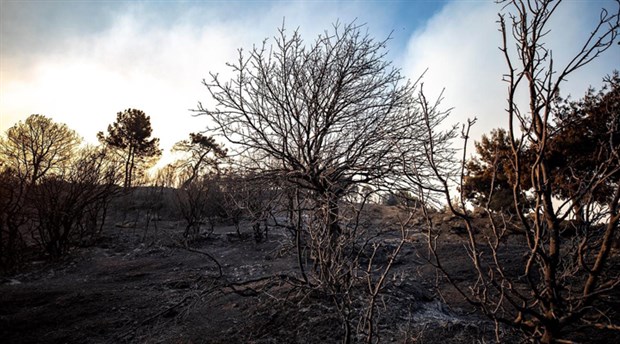 İzmir’deki yangında 5 bin hektar orman yandı