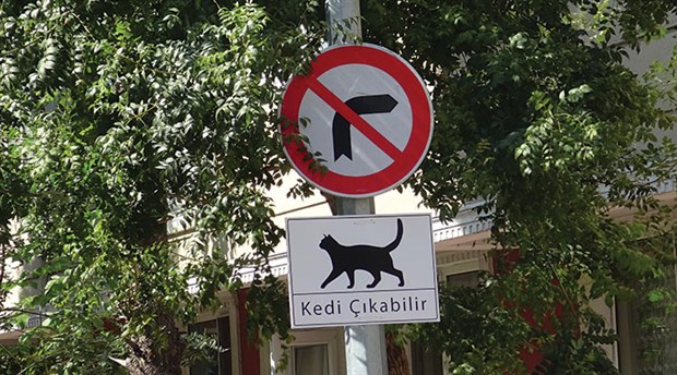 Avcılar'da sürücüler için ‘Kedi Çıkabilir’ tabelaları astılar