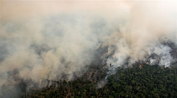 Tarım endüstrisi Amazonları yakıyor!
