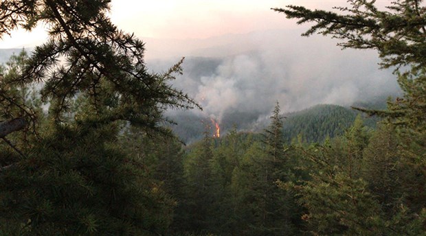 Kaş'taki orman yangını kontrol altına alındı
