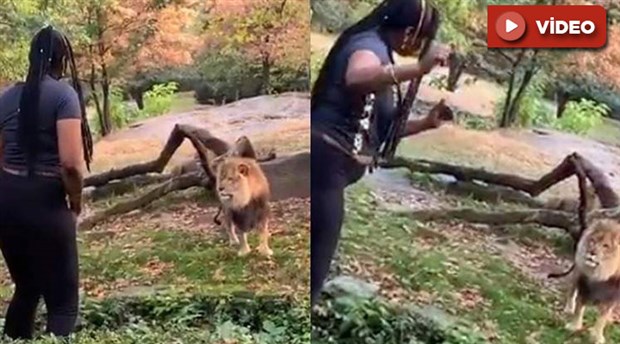 New York polisi, aslanların olduğu bölgeye girip dans eden kadını arıyor