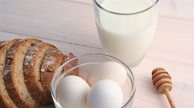 Ağustos ayında süt üretimi geriledi, yumurta üretimi arttı