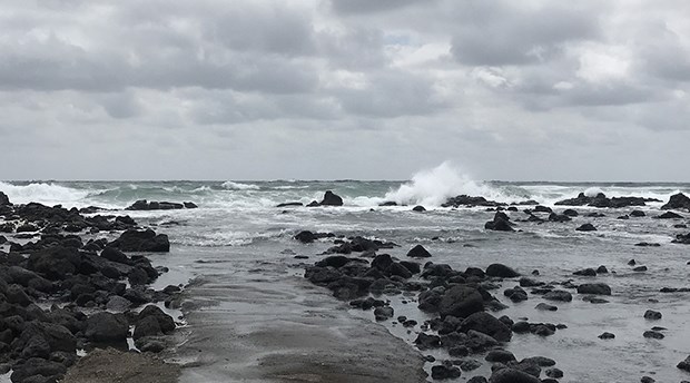 Japonya'da son yılların en büyük tayfunu kıyıya ulaştı
