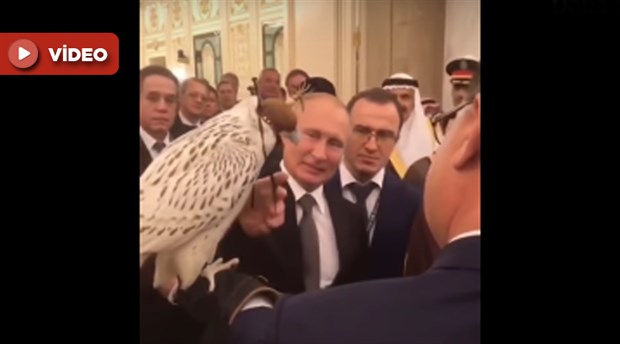 Putin'in Kral Selman’a hediye ettiği kuş halıya pisledi
