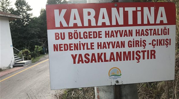 Bursa'da şap hastalığı karantinası