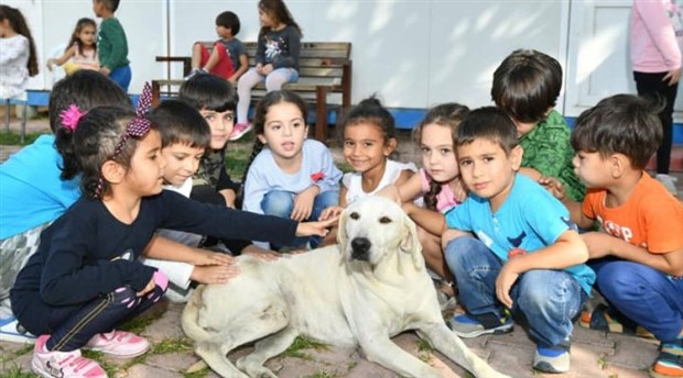 Çukurova Belediyesi'nden örnek kampanya: Her okula bir köpek