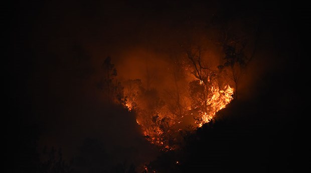 Bartın'da orman yangını nedeniyle 7 ev tahliye edildi