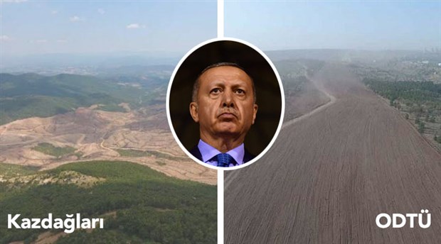 Ormanlarımızın yüzde 4,1’ini AKP döneminde kaybetmişken: Erdoğan, 'Hedefimiz zümrüt yeşili bir Türkiye' dedi