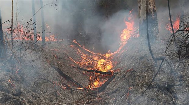 Avustralya'da orman yangınları sürüyor: 85 yangından 46'sı kontrol altına alınamadı
