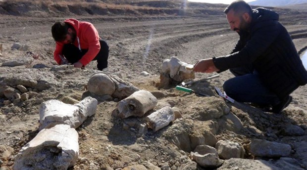 Kayseri'de 7.5 milyon yıllık fil fosili bulundu