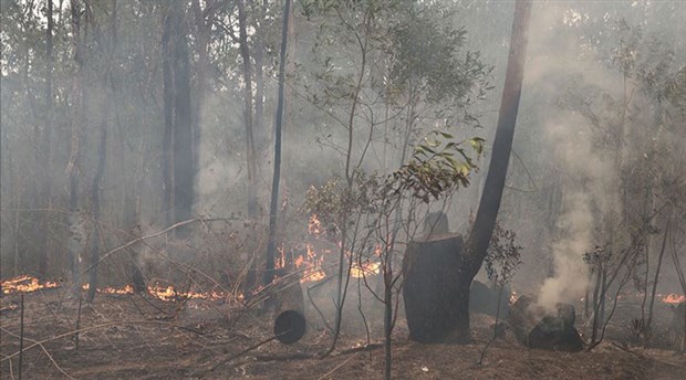 Avustralya'da orman yangınları devam ediyor: Üç eyalette daha alarm verildi