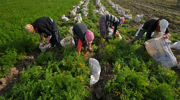 AKP’lilerin imar değişikliği planı iptal edildi: Tarım arazilerinin talanına yargı engeli