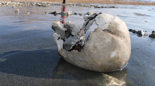 Van Gölü sahilinde insan kemikleri bulundu