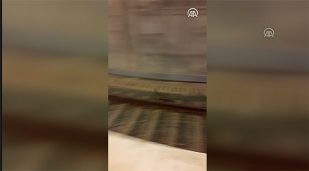 Marmaray treninin önünden kaçan tavşan görüntülendi
