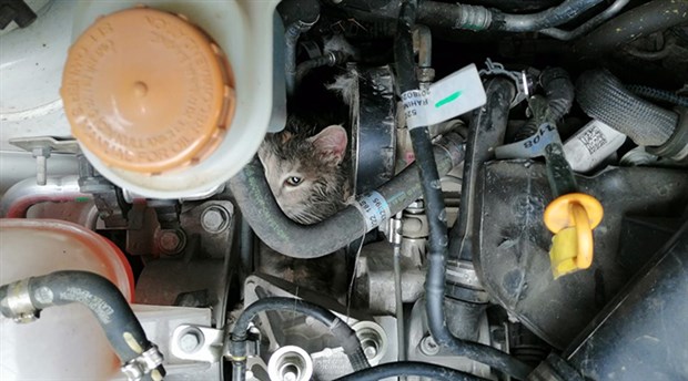 Motor kaputuna sıkışan kediyi itfaiye kurtardı