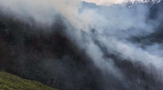 Trabzon'daki yangınlarla ilgili soruşturma başlatıldı