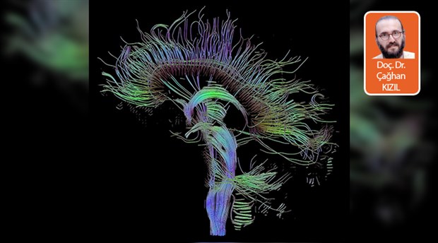 Sonsuzluğun haritalanması: İnsan Beyni Projesi