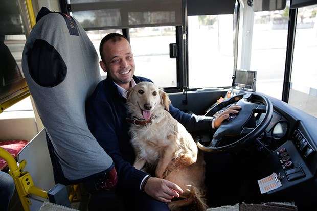 Üşüyen köpek halk otobüsüne sığındı